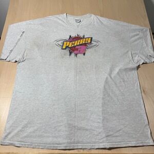 Vintage Kim Perry Racing T Shirt Adult 4XL Heather Gray Race Car Tee